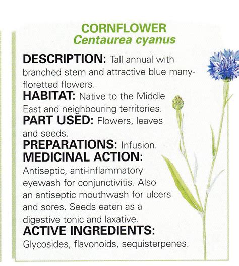 The Best Cornflower Magical Carpet Soap Recipes to Try at Home